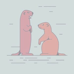 Meet your Posher, Camille